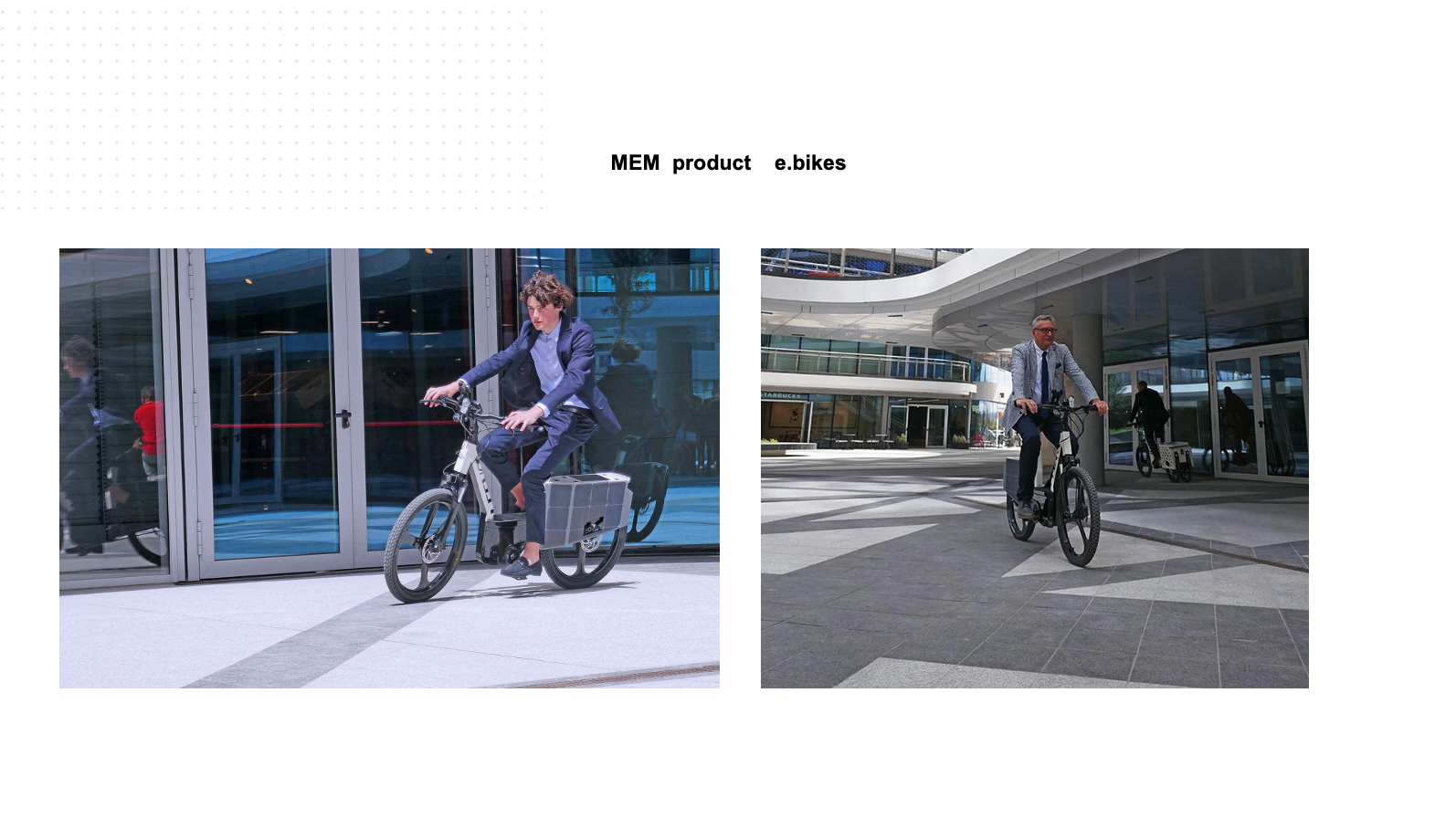 Presentation slide 4
